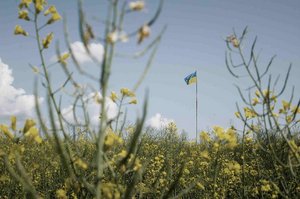 Ukraine: Fields of Plough, Fields of War