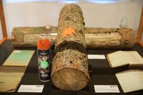 Výstava Lýkožrout smrkový – pohroma lesa, Národní zemědělské muzeum Ohrada