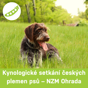 Kynologické setkání českých plemen psů, NZM Ohrada, 8. října 2022