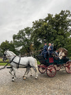 Romantická jízda v kočáře taženém Starokladrubskými koni z Národního hřebčína Kladruby nad Labem