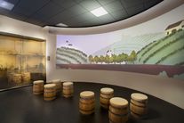Národní expozice vinařství, Národní zemědělské muzeum Valtice
