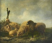 č.kat. 144 - Verboeckhoven Eugne Joseph, Stádo ovcí, inv.č. 36 629
