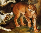 Rys ostrovid (Lynx lynx), detail fotoreprodukce obrazu barokního malíře Johana Georga Hamiltona z cyklu deseti obrazů znázorňujících štvanice na různé druhy zvěře. Sbírky NZM Ohrada.
