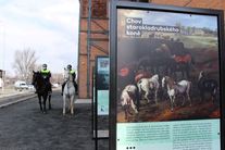 Neveřejné zahájení výstavy starokladrubskými koňmi, které ve službě používá Městská policie Ostrava. 7. 4. 2021