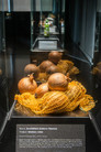 Galerie českých potravin