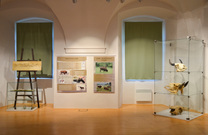 Výstava Zubři, Národní zemědělské muzeum Ohrada
