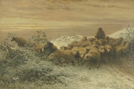Schenck August Friedrich Albrecht, Stádo ve sněhu