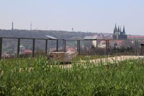 Praha jak na dlani ze střechy Národního zemědělského muzea