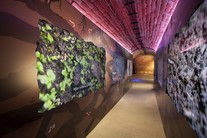 Nové expozice valtického muzea vinařství, zahradnictví a krajiny