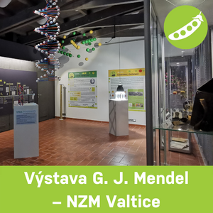 Výstava G. J. Mendel, NZM Valtice, duben – říjen 2022