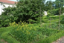 Bylinková zahrada, Národní zemědělské muzeum Kačina
