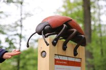Kačinský zámecký park, naučná stezka Ze života hmyzu