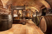 Rekonstruované prostory valtického muzea vinařství, zahradnictví a krajiny