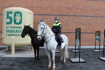 Výcvik starokladrubských koní pro službu u police
