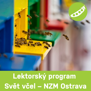 Svět včel - NZM Ostrava