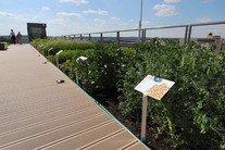 projekt Zemědělské plodiny na střeše muzea