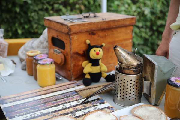 Jedu v medu – akce pro všechny milovníky včelích produktů a včelaření