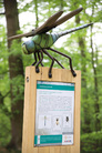 Kačinský zámecký park, naučná stezka Ze života hmyzu