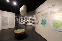 Výstava Jindřich Štreit a Cykly